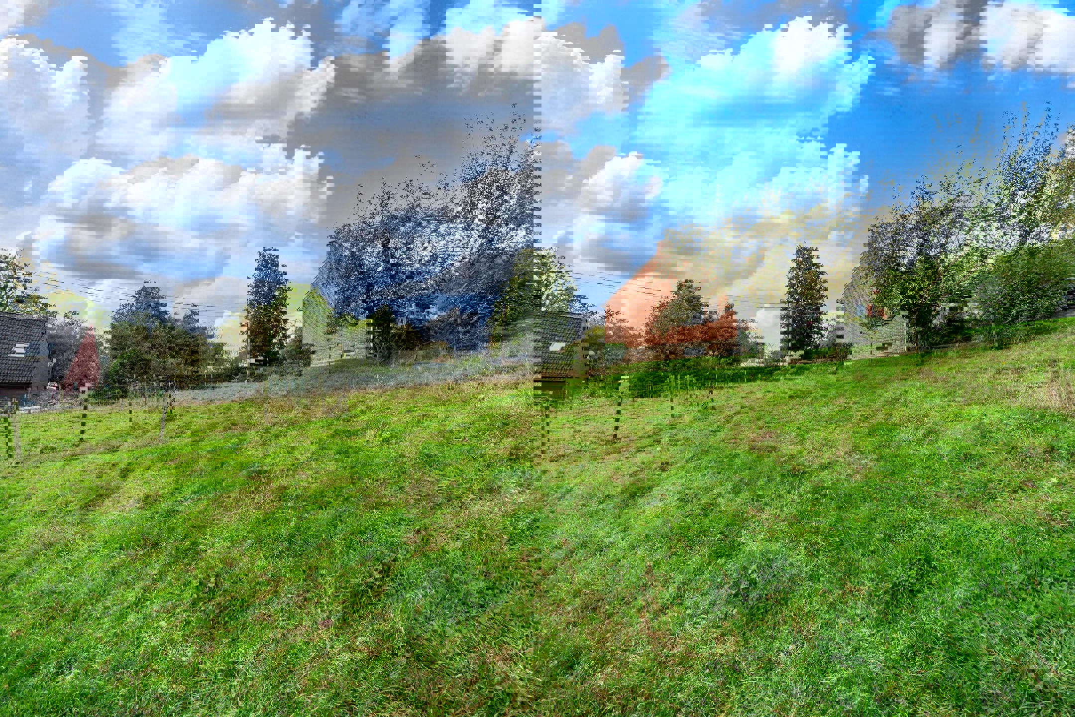 Land for sale in Burdinne - photo 4