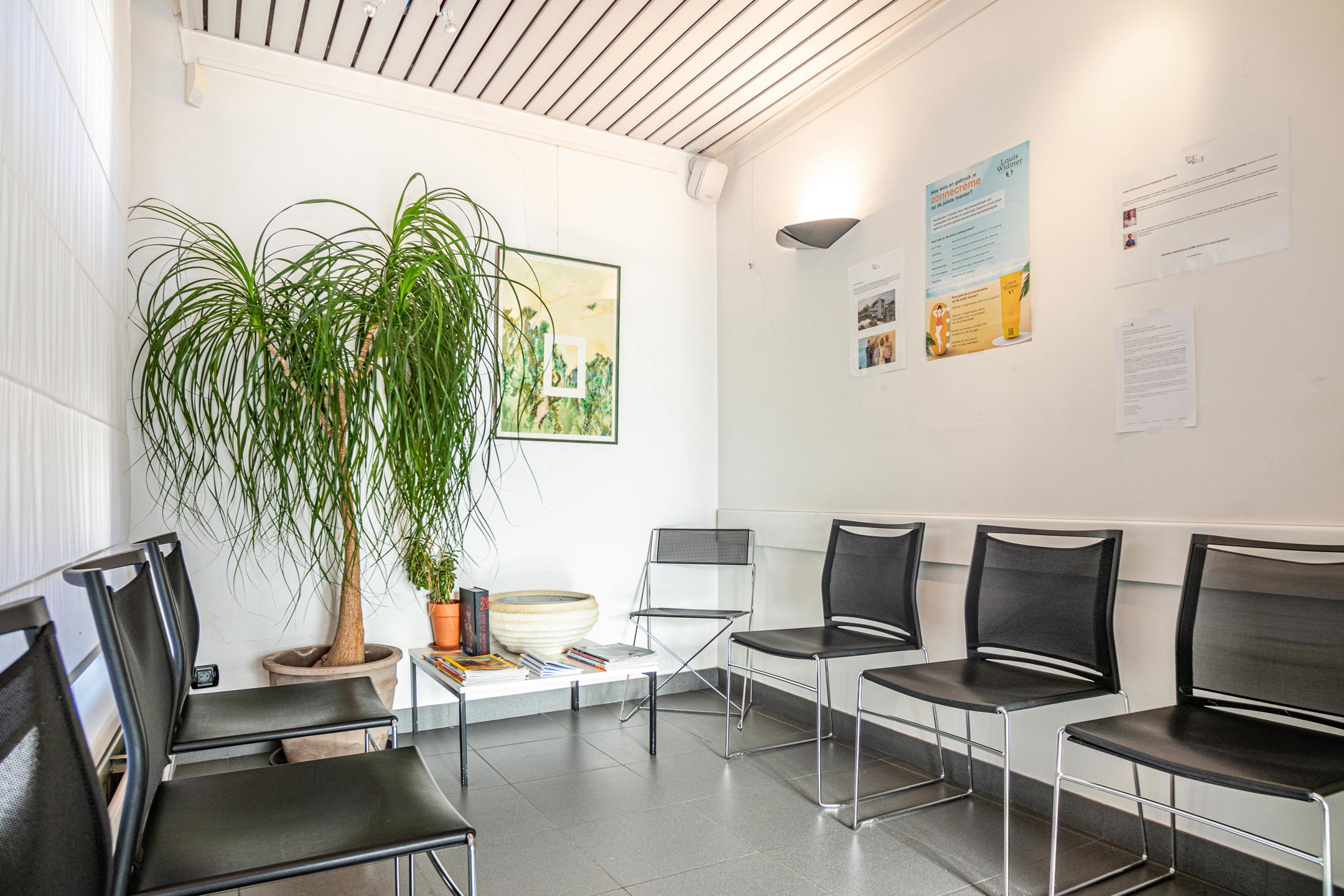 Commercial for sale in Bornem - photo 4