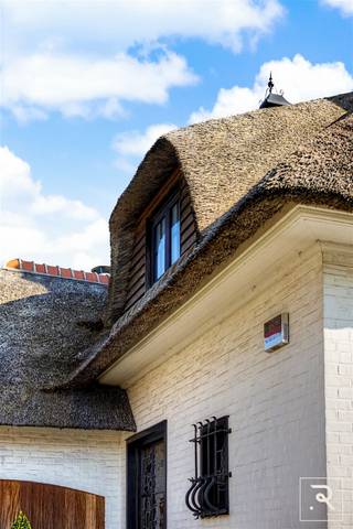 Commercial à vendre à Termonde
