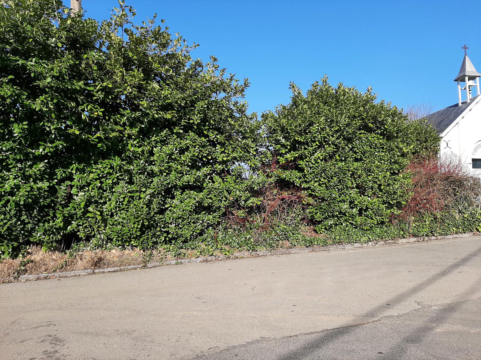 Land for sale in Ternat - photo 3