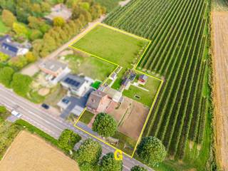 Langs de Hasseltsesteenweg ter hoogte van nummer 545 bevindt zich deze halfopen, te renoveren doch zeer verzorgde woning met achterliggende weide, op een royaal perceel van maar liefst 38a62ca. Op een viertal kilometer ligt het centrum van Tongeren, zodat alle voorzieningen vlot bereikbaar zijn.<br /><br />De weide, samen met de zone achter en rechts van de woning, is bestemd als landschappelijk waardevol agrarisch gebied, waardoor bijkomende bebouwing uitgesloten is. Het prachtige, vrije uitzicht op de groene omgeving blijft voor de koper gegarandeerd.<br /><br />De weide is toegankelijk zowel via de tuin van de woning als via de landweg links van het perceel. Dit zorgt voor een uitstekende bereikbaarheid — te voet én met voertuigen —bijzonder interessant voor onderhoudswerken, dierenliefhebbers of mensen die graag buitenruimte optimaal benutten.<br /><br />De woning werd gebouwd omstreeks 1968 en nadien uitgebreid met een vergunde dakverdieping (ca. 1982). Zowel de woning als de buitenomgeving werden steeds zorgvuldig onderhouden, waardoor de koper hier een nette, structureel degelijke basis aantreft voor een mooie, toekomstgerichte renovatie.<br /><br />INDELING/ OMSCHRIJVING<br /><br />Gelijkvloers<br />-Inkomhal met gastentoilet en trap naar de verdieping<br />-Keuken<br />-Handige bergruimte<br />-Ruimte die dienst kan doen als eetplaats, zitruimte of bureel<br />-Woonkamer<br />-Grote ruimte met zicht op de tuin, momenteel ingericht als twee ruime slaapkamers<br />-Aangebouwde garage<br />-Bergruimte met trap naar de kelder<br /><br />Verdieping<br />-Nachthal<br />-Twee slaapkamers<br />-Badkamer<br /><br />Buiten<br />-Tuinzone achter de woning met verzicht op de achterliggende groene omgeving<br />-Tuinstrook rechts naast de woning<br />-Mooie, volledig omheinde weide van 23a47ca, met enkele fruitboompjes en een prachtig, wijds uitzicht. Deze weide is zorgvuldig ingezaaid en zowel bereikbaar via de tuin als via de naastgelegen landweg.<br /><br /><br />EPC &amp; RENOVATIEPLICHT<br />EPC: 698 kWh/m²/jaar – label F<br />Dit eigendom valt onder de renovatieplicht voor residentiële gebouwen.<br />Meer info: https://www.vlaanderen.be/een-huis-of-appartement-kopen/renovatieverplichting-voor-residentiele-gebouwen<br />Wie aan de voorwaarden voldoet, kan rekenen op verschillende premies:<br />-https://www.vlaanderen.be/premies-voor-renovatie/mijn-verbouwpremie<br />-https://www.vlaanderen.be/premies-voor-renovatie<br />-https://www.vlaanderen.be/premies-voor-renovatie/mijn-verbouwpremie/wat-wijzigt-aan-mijn-verbouwpremie-vanaf-1-juli-2025<br />Of tijdens een vrijblijvend bezoek.<br /><br />Dit aanbod kan interessant zijn voor:<br />-Gezinnen die op zoek zijn naar een degelijke woning met solide basis, veel tuin en een prachtig uitzicht op de achterliggende natuur<br />-Dierenliefhebbers die een woning zoeken met directe toegang tot een ruime, omheinde weide — ideaal voor het houden van dieren in een rustige, groene omgeving