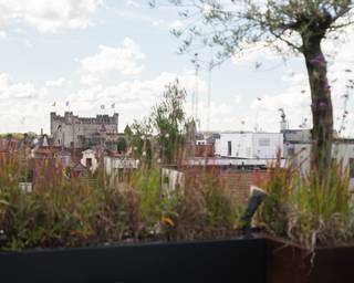 Stijlvol en lichtrijk appartement met uitzonderlijk terras in het historisch centrum van Gent.<br /><br />Gelegen in het hart van het historische centrum van Gent bevindt zich dit instapklare appartement met een bewoonbare oppervlakte van 134 m² en een royaal terras van 35 m². Een eigendom die zich onderscheidt door haar volumes, esthetiek en unieke buitenbeleving.<br /><br />Dankzij de grote raampartijen en de doordachte indeling geniet het appartement van een aangename lichtinval en een sterk ruimtelijk gevoel doorheen de leefruimtes. De stijlvolle afwerking en warme materialiteit zorgen voor een tijdloze en uitnodigende woonbeleving.<br /><br />Het appartement beschikt over twee volwaardige slaapkamers en een derde kamer die vandaag dienstdoet als bureau. Hedendaags wooncomfort wordt gegarandeerd dankzij onder meer airconditioning en een gunstige EPC-score B.<br /><br />De absolute troef van deze eigendom is ongetwijfeld het royale terras van 35 m², dat geniet van bijzondere zichten over de historische binnenstad en een zeldzame buitenruimte vormt op deze toplocatie.<br /><br />Een uitzonderlijke opportuniteit voor wie op zoek is naar ruimte, esthetiek en een unieke woonbeleving midden in het bruisende Gentse stadscentrum.