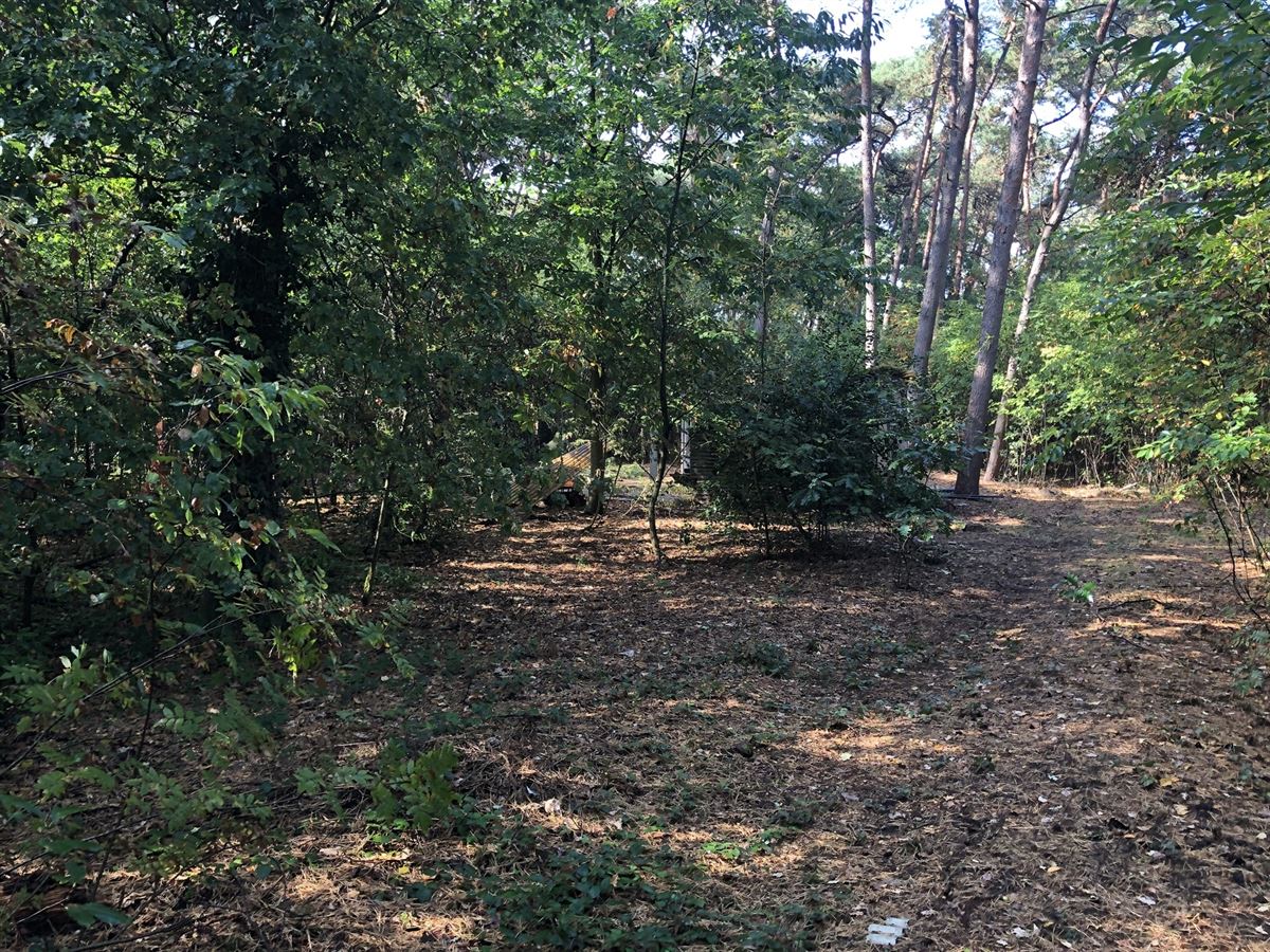 recreatief terrein - foto 4