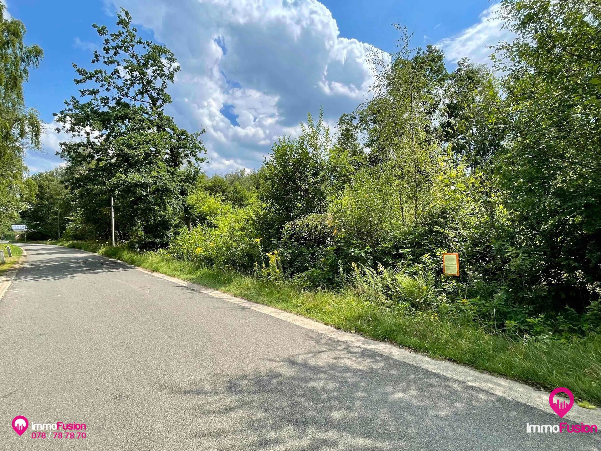 Prachtig gelegen bouwgrond voor OB met 17.2m straatbreedte! - foto 3