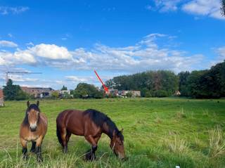 Deze karaktervolle en energiezuinige (label-B!) driegevelwoning, met een netto bewoonbare oppervlakte van 224 m² en een voorgevelbreedte van 7...