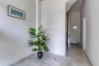 Ruim en lichtrijk appartement met 3 slaapkamers en terras nabij het Rivierenhof.Indeling:Via de inkomhal betreedt u de ruime, lichtrijke leefruimte...