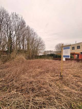 Terrain à vendre à Maasmechelen