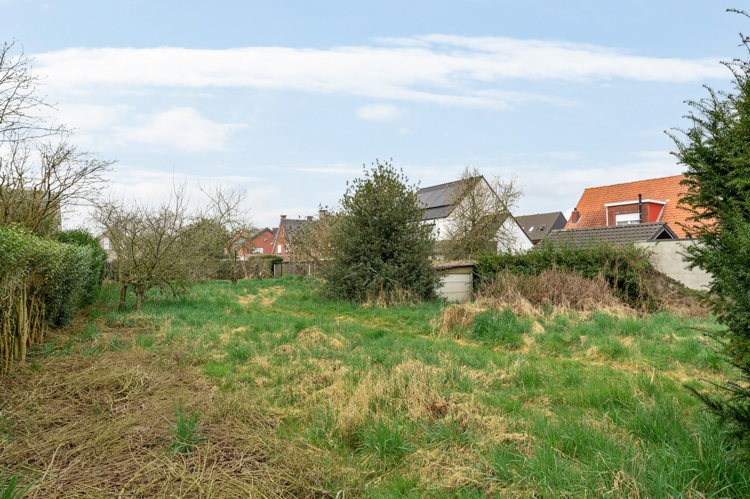 Terrain à vendre à Lint - photo 3