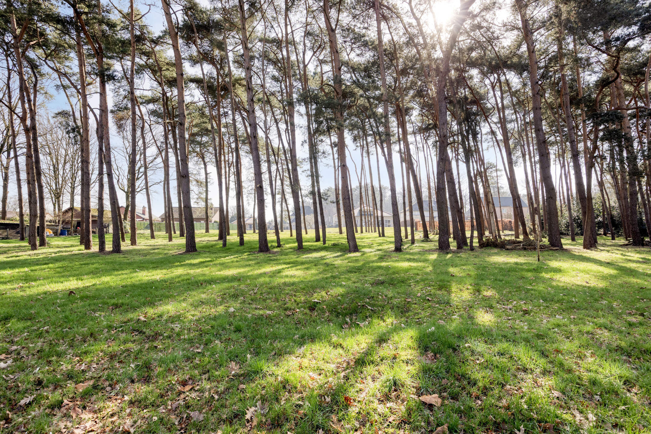 Bouwgrond voor open bebouwing op een ruim perceel van 30 are - foto 5