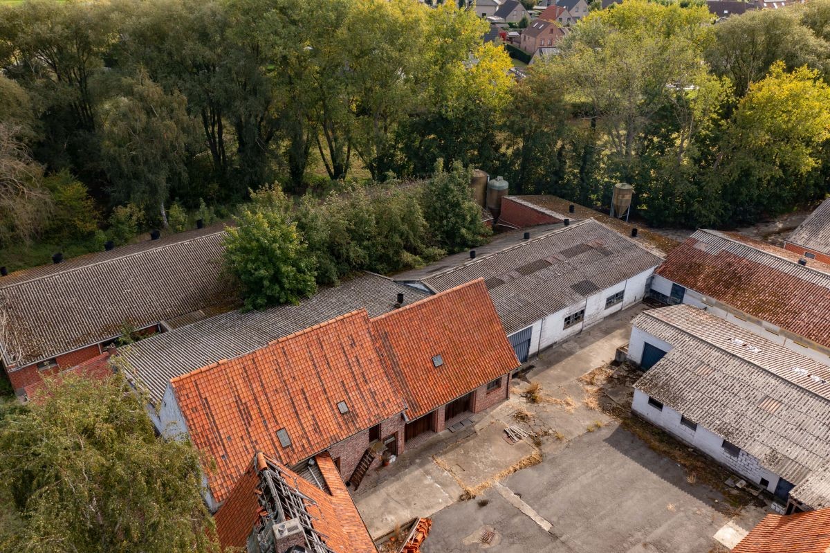 Varkensbedrijf te koop te Bavikhove - foto 4