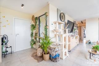 Ontdek dit uitzonderlijk lichtrijk en ruim duplex-appartement van 123 m², gelegen in het centrum van Herzele, op wandelafstand van het...