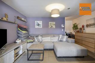  Ontdek dit unieke vastgoedaanbod dat perfect inspeelt op de wensen van zowel investeerders als particulieren. Deze eigendom op een perceel van...