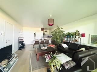 Appartement au rez-de-chaussée (1 chambre) avec un beau jardin, situé juste à l'extérieur du centre de Wijnegem et à proximité du centre commercial...