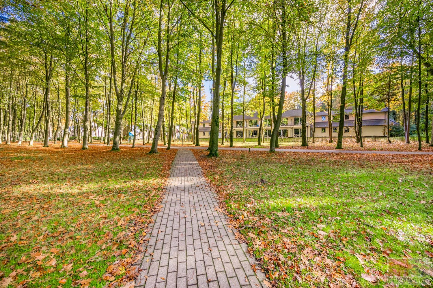 Huis te koop in Houthalen met 1 slaapkamer - foto 4