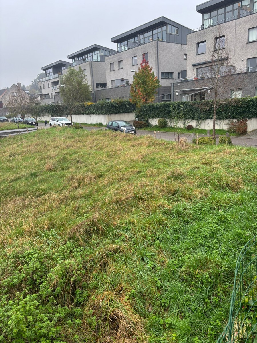 BOUWGROND 90N - 12a10ca - foto 3