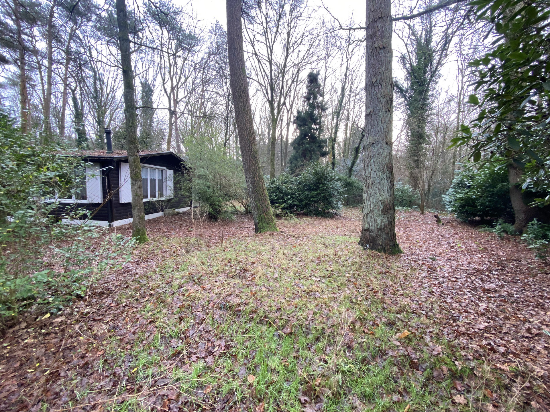 SCHILDE - Bouwgrond met af te breken woning (regime 6% BTW)  - foto 2