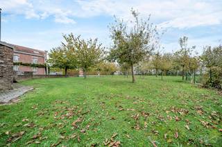 Gelegen op de taalgrens tussen Landen en Lincent bevindt deze oude hoeve zich aan het einde van een doodlopende straat, in een idyllische omgeving...