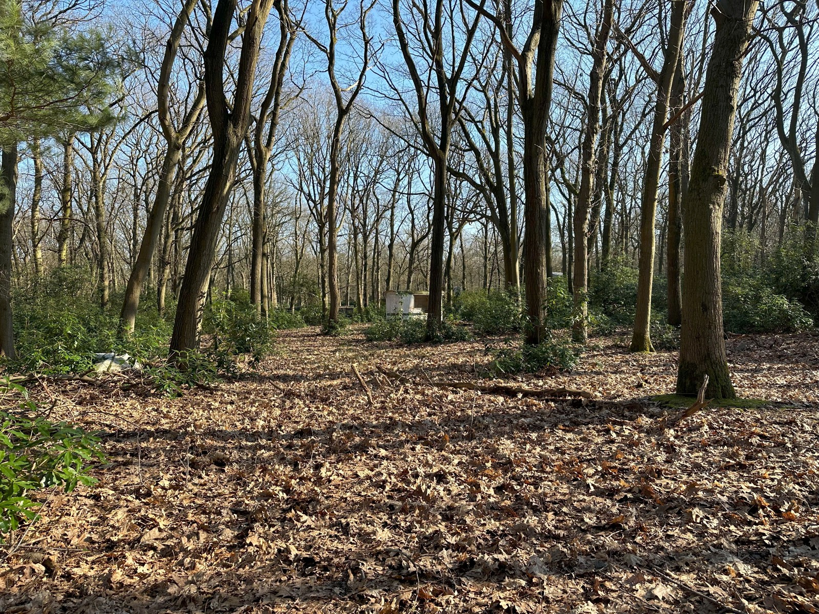 Terrain à vendre à Brasschaat - photo 4