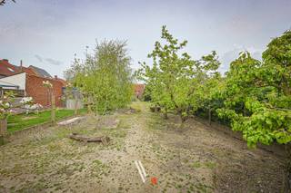 Deze <strong>robuuste en verrassend ruime woning</strong> bevindt zich in het centrum van Izegem, op korte afstand van belangrijke invalswegen, scholen en het winkelcentrum Shopping Izegem.<br />Zowel binnen als buiten geniet je hier van <strong>opmerkelijk veel ruimte</strong>. De woning beschikt over een <strong>bewoonbare oppervlakte van 184 m²</strong> (volgens EPC) en ligt op een <strong>uitzonderlijk ruim perceel van maar liefst 824 m²</strong> — een zeldzame troef in het centrum.<br /><br />De woning werd reeds voorzien van enkele <strong>belangrijke vernieuwingen</strong>, wat resulteert in een <strong>energielabel D</strong>, waardoor er <strong>géén renovatieplicht</strong> van toepassing is. Zo werden onder andere de <strong>ramen en de verwarmingsketel volledig vernieuwd</strong>. Bovendien is er achteraan het perceel een <strong>uitweg</strong> (voor voetgangers) voorzien.<br /><br />De <strong>tuin vormt zonder twijfel de absolute eye-catcher</strong> van deze eigendom. Hier kan je in alle rust genieten van het buitenleven en iedereen met groene vingers zal zich hier ongetwijfeld volledig kunnen uitleven.
<div>
<hr /></div>
<strong>Indeling</strong><br /><strong>Gelijkvloers:</strong><br />Inkomhal, ruime woonkamer, eetkamer, keuken, berging/wasplaats, garage, veranda en apart toilet.<br /><strong>Eerste verdieping:</strong><br />3 slaapkamers en badkamer.<br /><strong>Zolder:</strong><br />Bereikbaar via een vaste trap, met <strong>mogelijkheid tot het creëren van extra kamers</strong>.
<div>
<hr /></div>
<strong>Grootste troeven</strong>
<ul>
<li><span>Zeer ruime tuin </span></li>
<li><span>Uitweg achteraan het perceel </span></li>
<li><span>Geen renovatieplicht (energielabel D) </span></li>
<li><span>Vernieuwde ramen en verwarmingsketel </span></li>
<li><span>Centrale ligging in Izegem</span></li>
</ul>
<br />