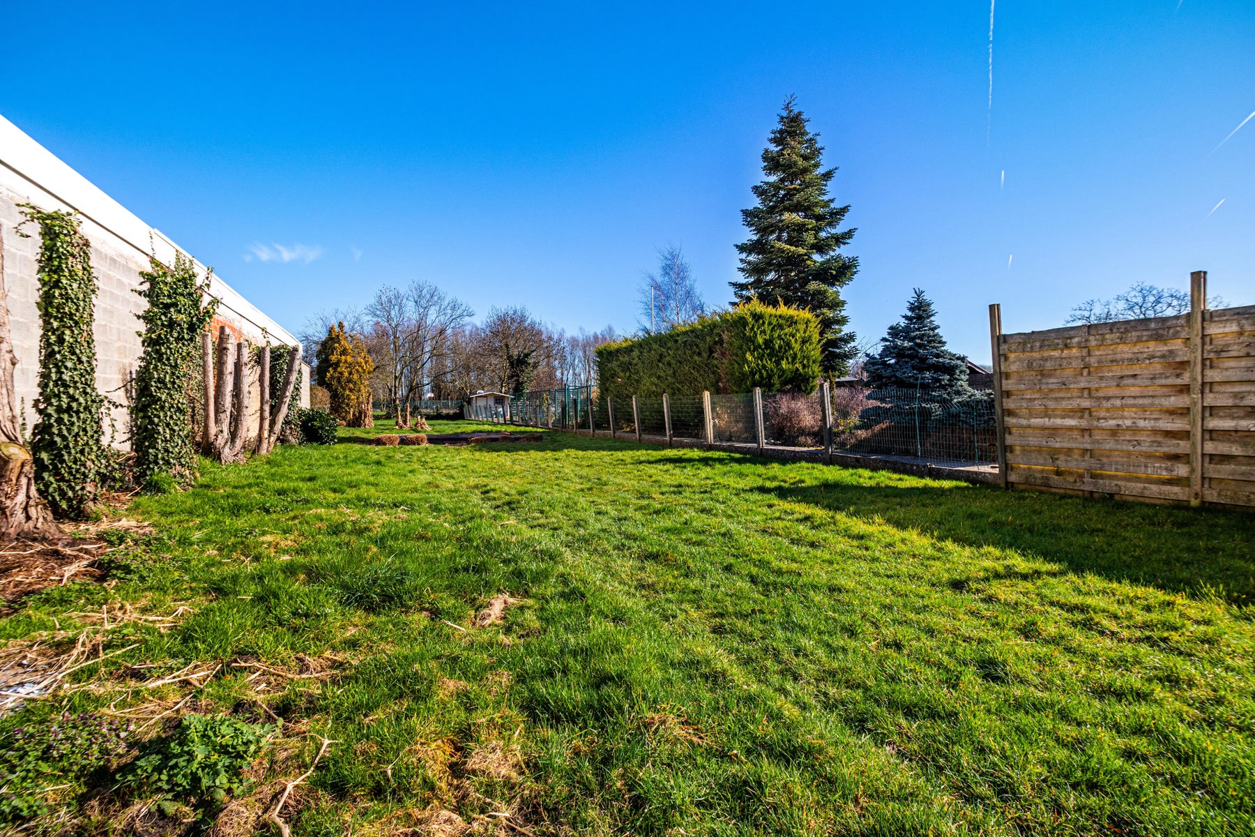 Renovatiewoning op 828 m² met potentieel in Duffel - foto 4