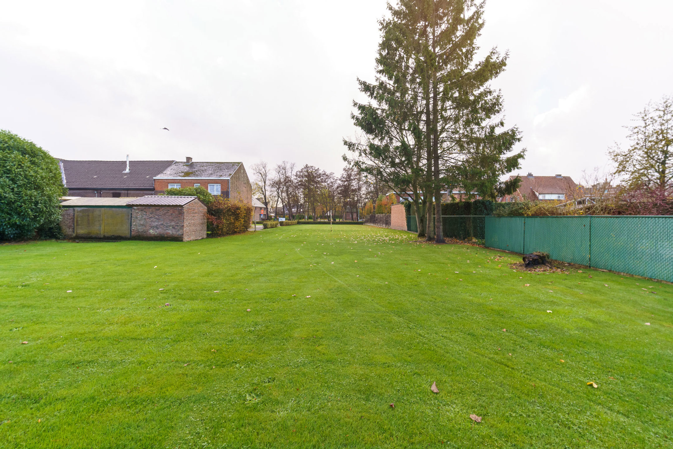 Bouwgrond van 12a 53ca voor een open bebouwing te Blaasveld  - foto 3