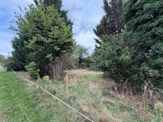 Op een aantrekkelijke locatie in Werchter bevindt zich deze ruime bouwgrond van maar liefst 12 are, geschikt voor het realiseren van een open bebouwing. Het perceel beschikt over een mooie straatbreedte van circa 22 meter en is gelegen binnen een goedgekeurde verkaveling. Een belangrijke troef is dat de bouwgrond wordt verkocht met een reeds goedgekeurde bouwvergunning, waardoor de toekomstige eigenaar heel wat tijd en voorbereiding bespaart. De goedgekeurde plannen voorzien een ruime woning met circa 250 m² bewoonbare oppervlakte. Een mooie opportuniteit voor wie op zoek is naar een ruim perceel en een comfortabele gezinswoning wil realiseren zonder eerst het volledige vergunningstraject te moeten doorlopen.