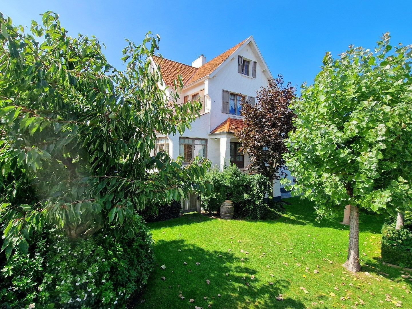 GERENOVEERDE CHARMANTE &amp; EXCLUSIEVE VILLA MET LIFT + ZES SLAAPKAMERS + GROTE TUIN + BOUWGROND GELEGEN IN DE PRACHTIGE DUMONTWIJK EN OP 300 METER VAN HET STRAND - foto 1