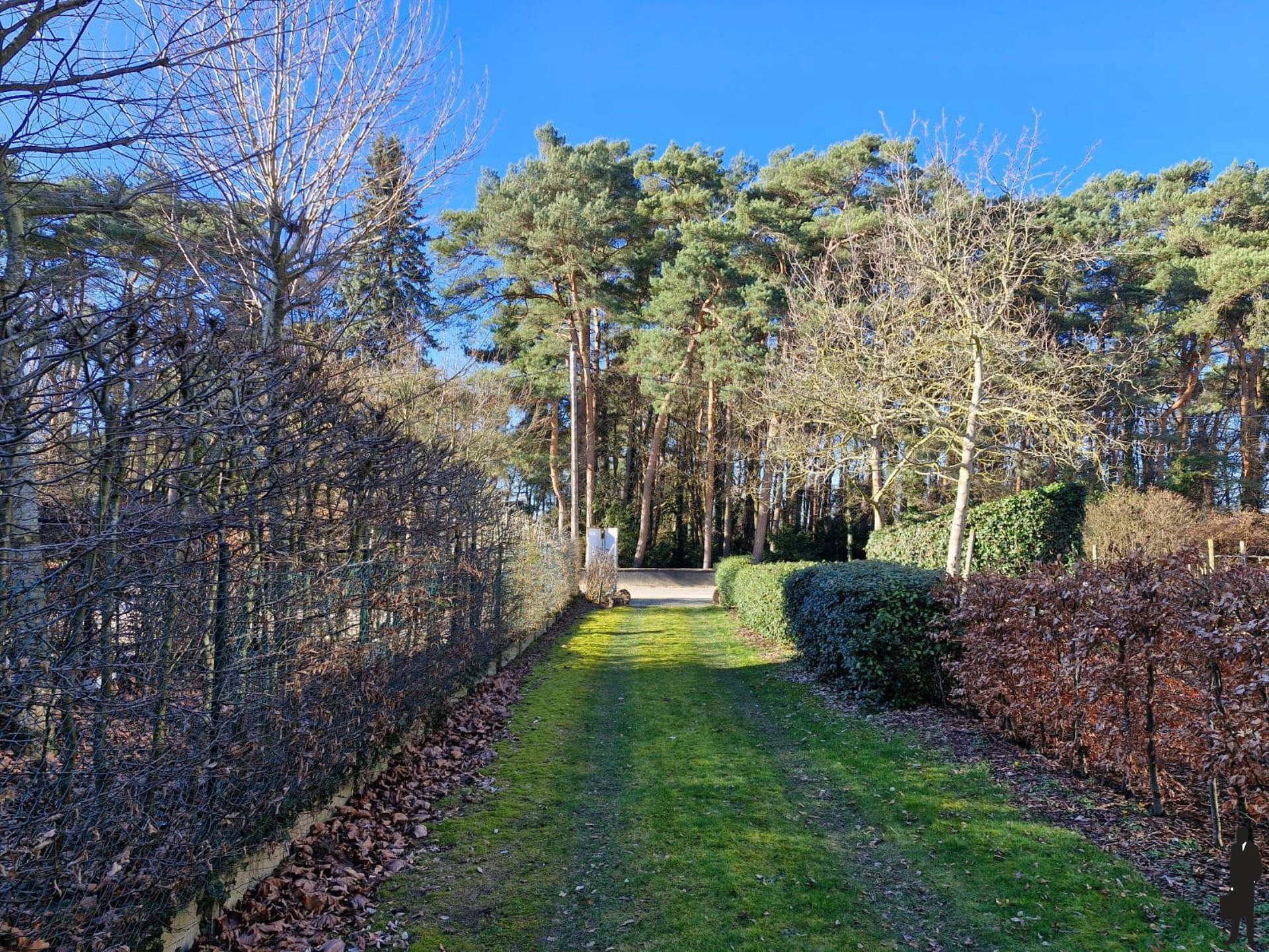 Charmante woning met parktuin en achteringang op 3.606 m². - foto 3