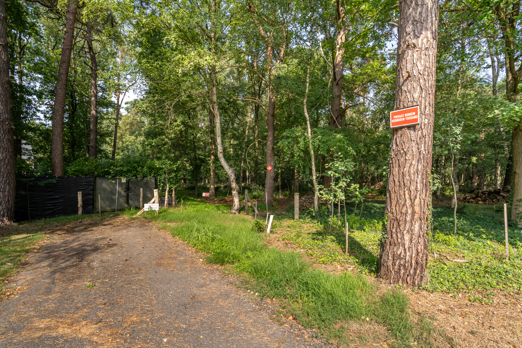 Terrain à vendre à Kapellen - photo 2