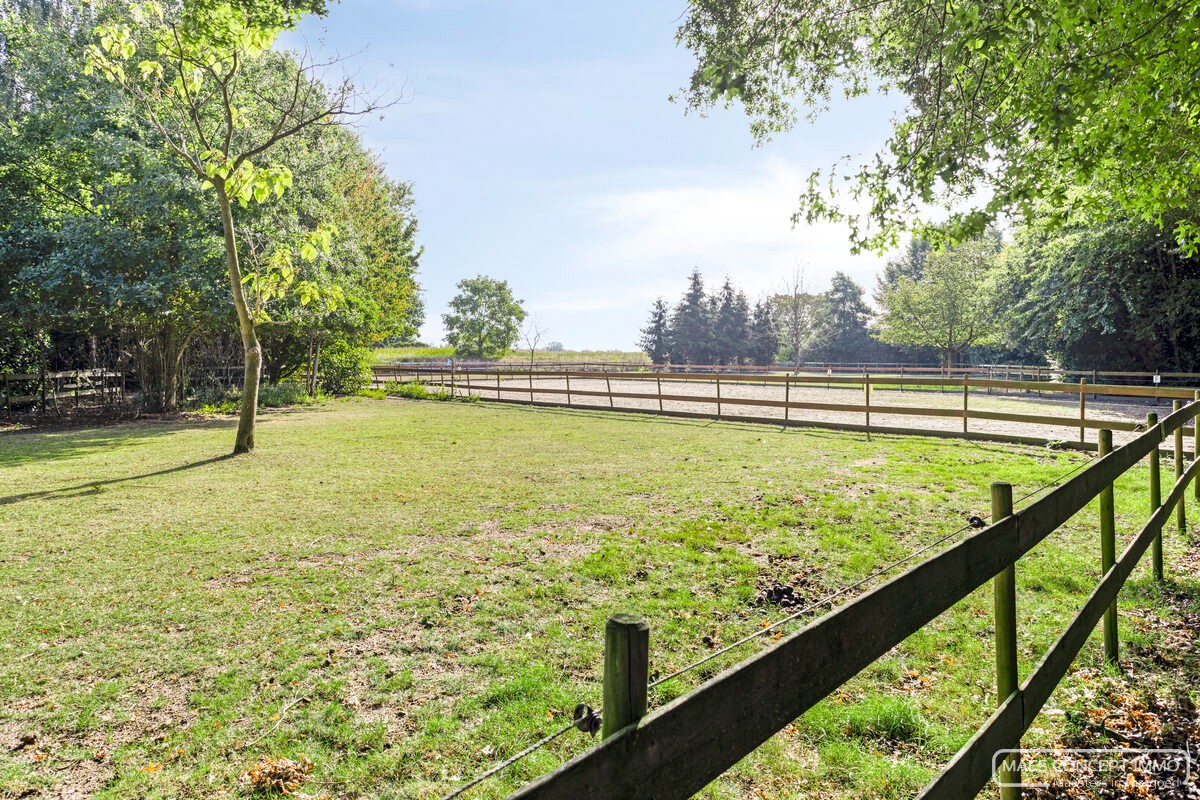 Authentieke hoeve te koop in Anzegem – omringd door 1,6 hectare groen - foto 2