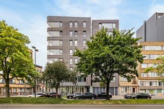 Download het gunstige EPC (A) en het grondplan alvast via de Wellimmo-site (‘documenten’).In het bruisende Zurenborg, op de hoek van de Dolfijnstraat...