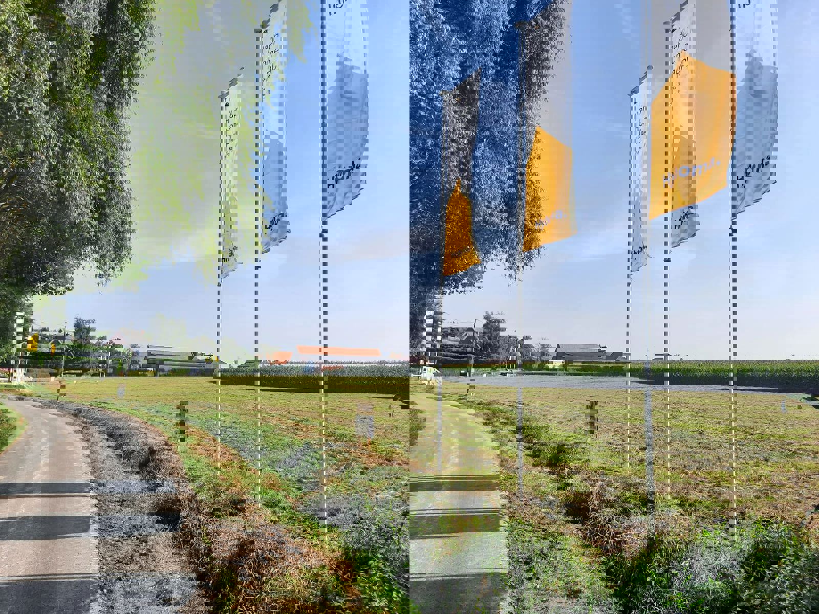 Project te koop in Vladslo - foto 5