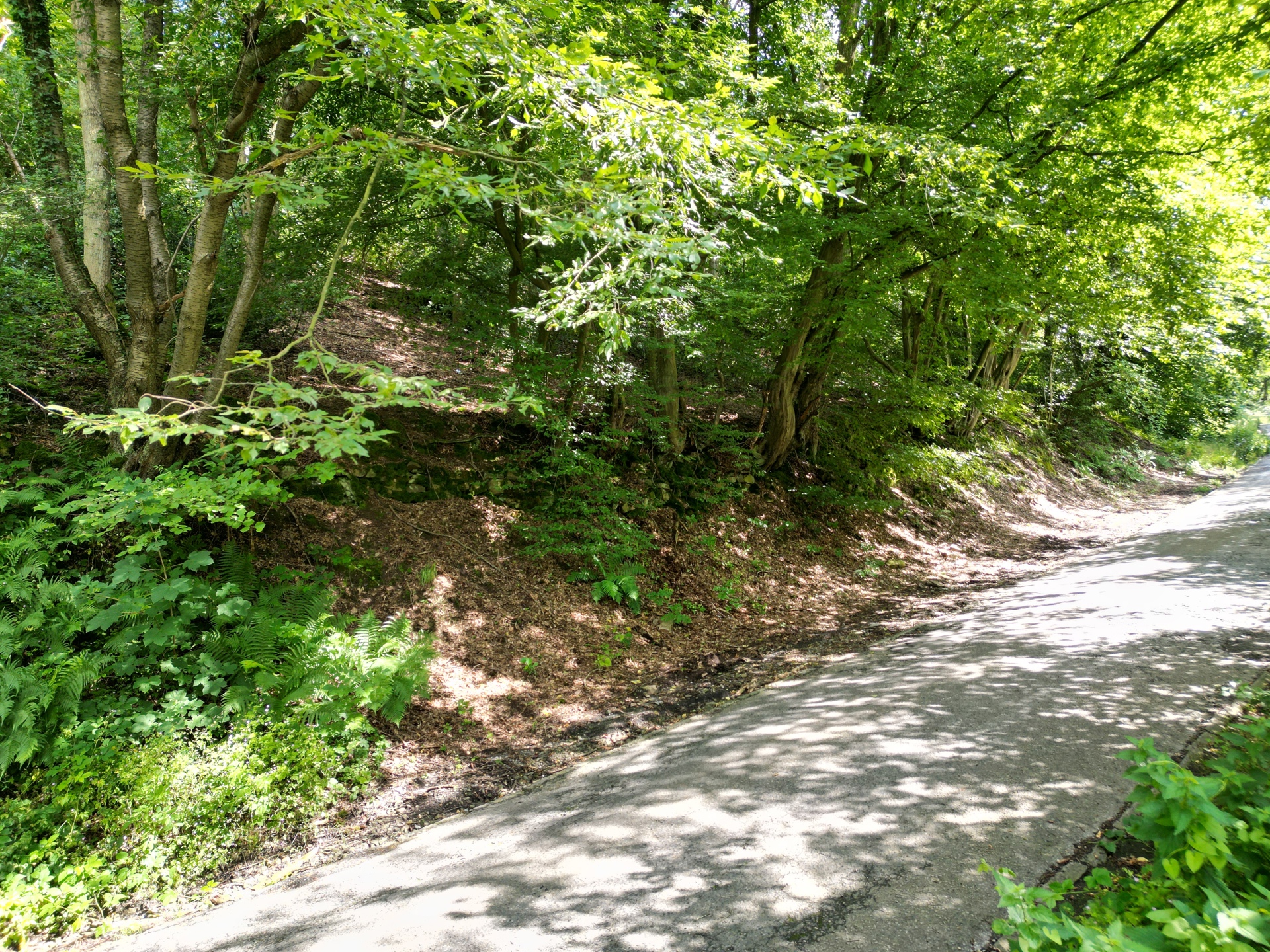 Grond te koop in Marchin - foto 4