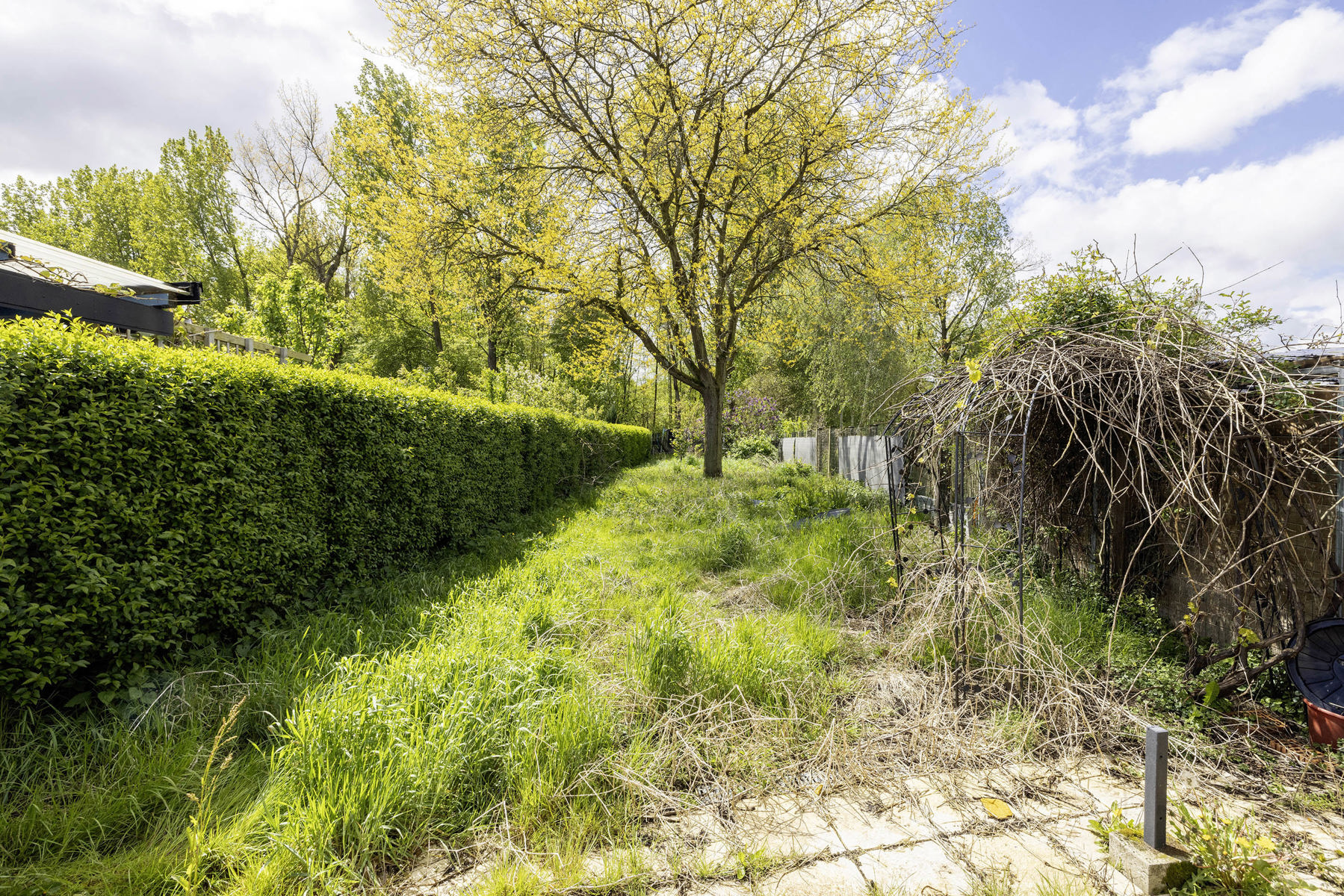 Te renoveren woning op een perceel van 509m² - foto 3