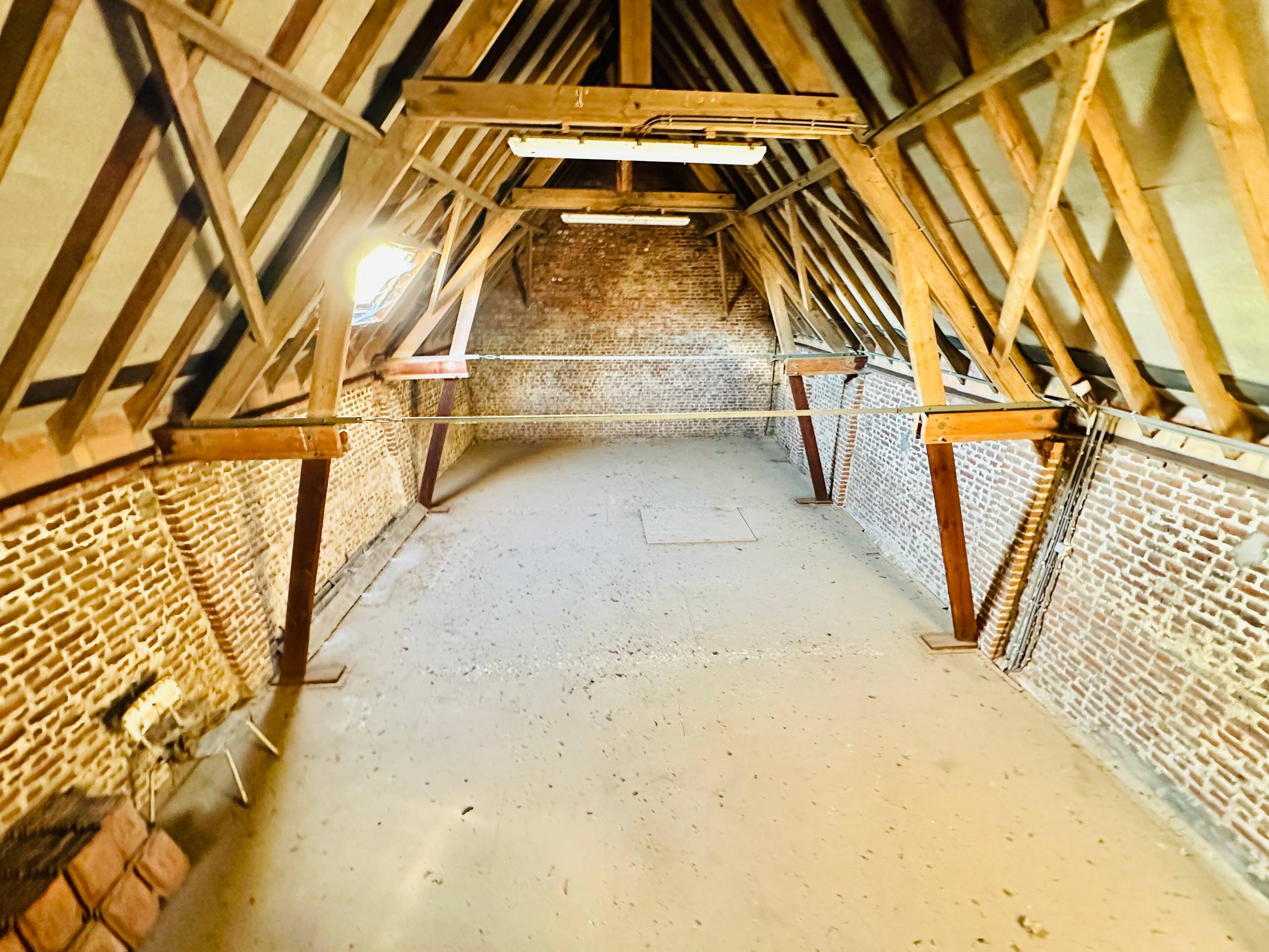 Unieke loods (189 m²) met ruime inrijpoort (en 6 garages) - foto 4