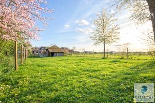 OEDELEM -  Rustig gelegen ruime woning met 3 slaapkamers, bijgebouw en tuin in het landelijke Oedelem.INDELING: Inkomhal met gastentoilet, De knusse...