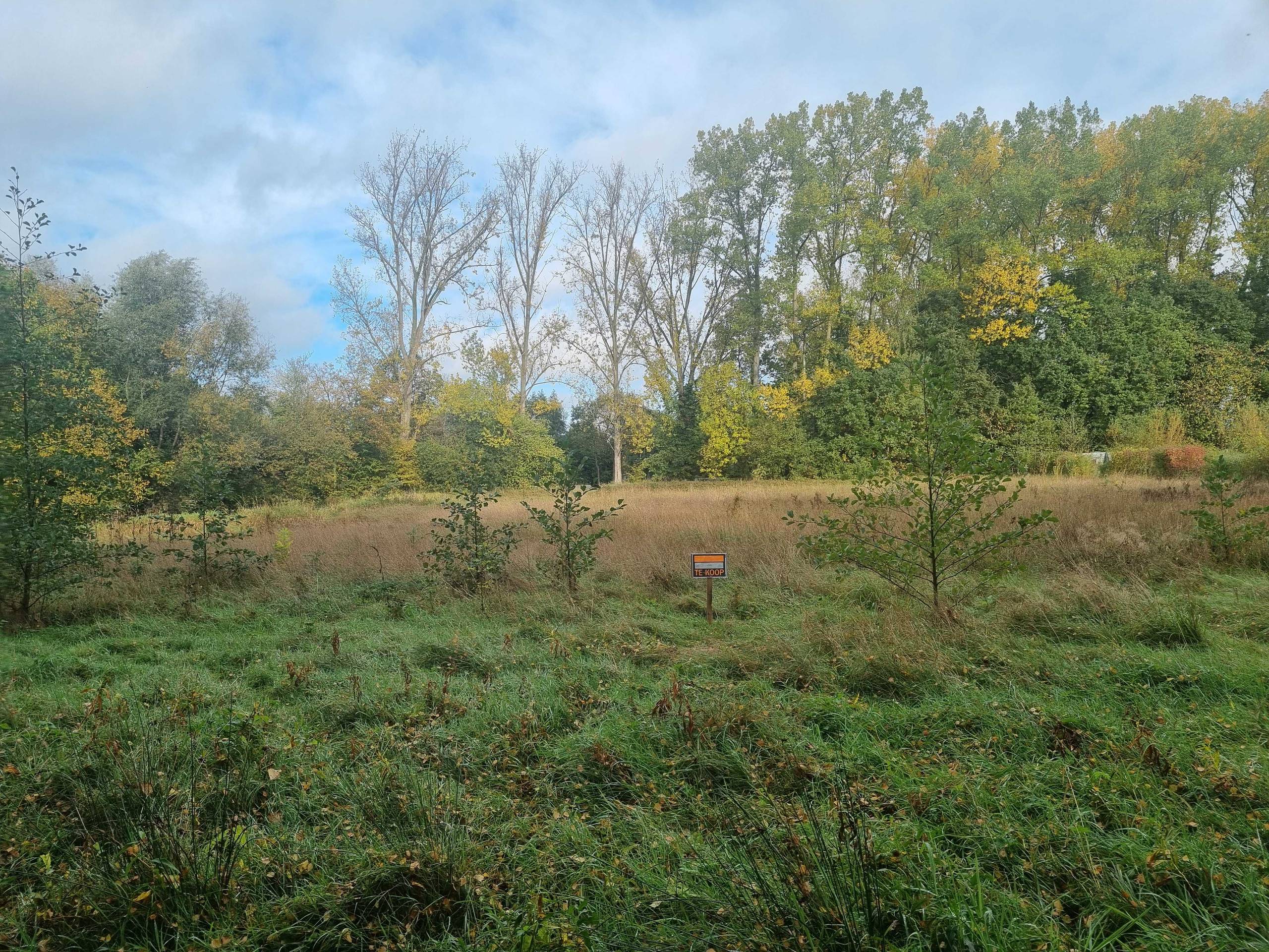 Grond te koop in Boortmeerbeek - foto 2