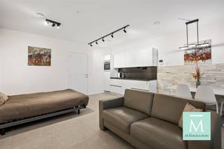 Charmante, energiezuinige gemeubelde studio op topligging in MechelenOp zoek naar een betaalbare, instapklare woonst op een uitstekende locatie? Dan...