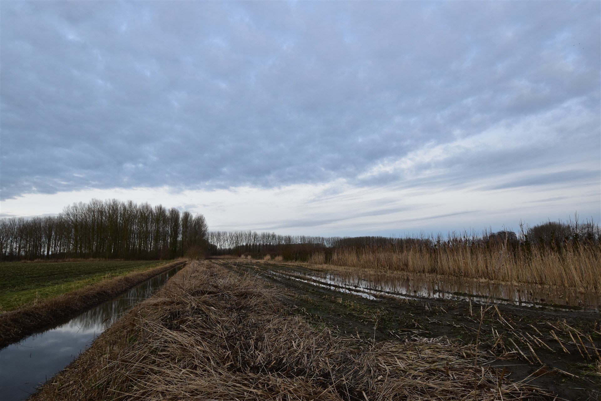 Landbouwgrond in Moerzeke - foto 3