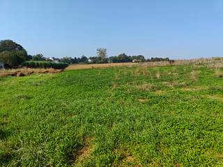 Terrain à Bâtir (lot 01) d’une superficie de 2019 m², pour villa 4 façades et par ailleurs disposant d’un permis d’urbanisme.Libre de...