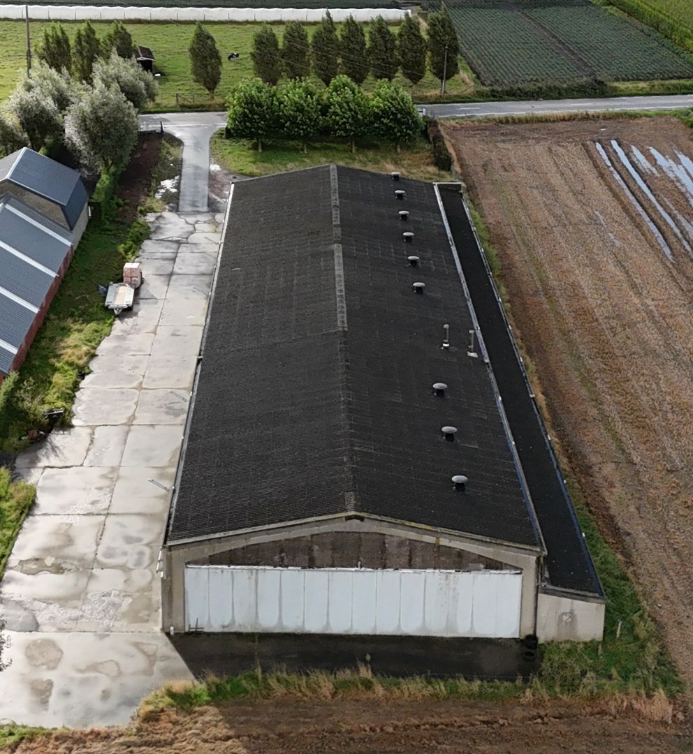 Loods te koop te Vladslo - foto 5