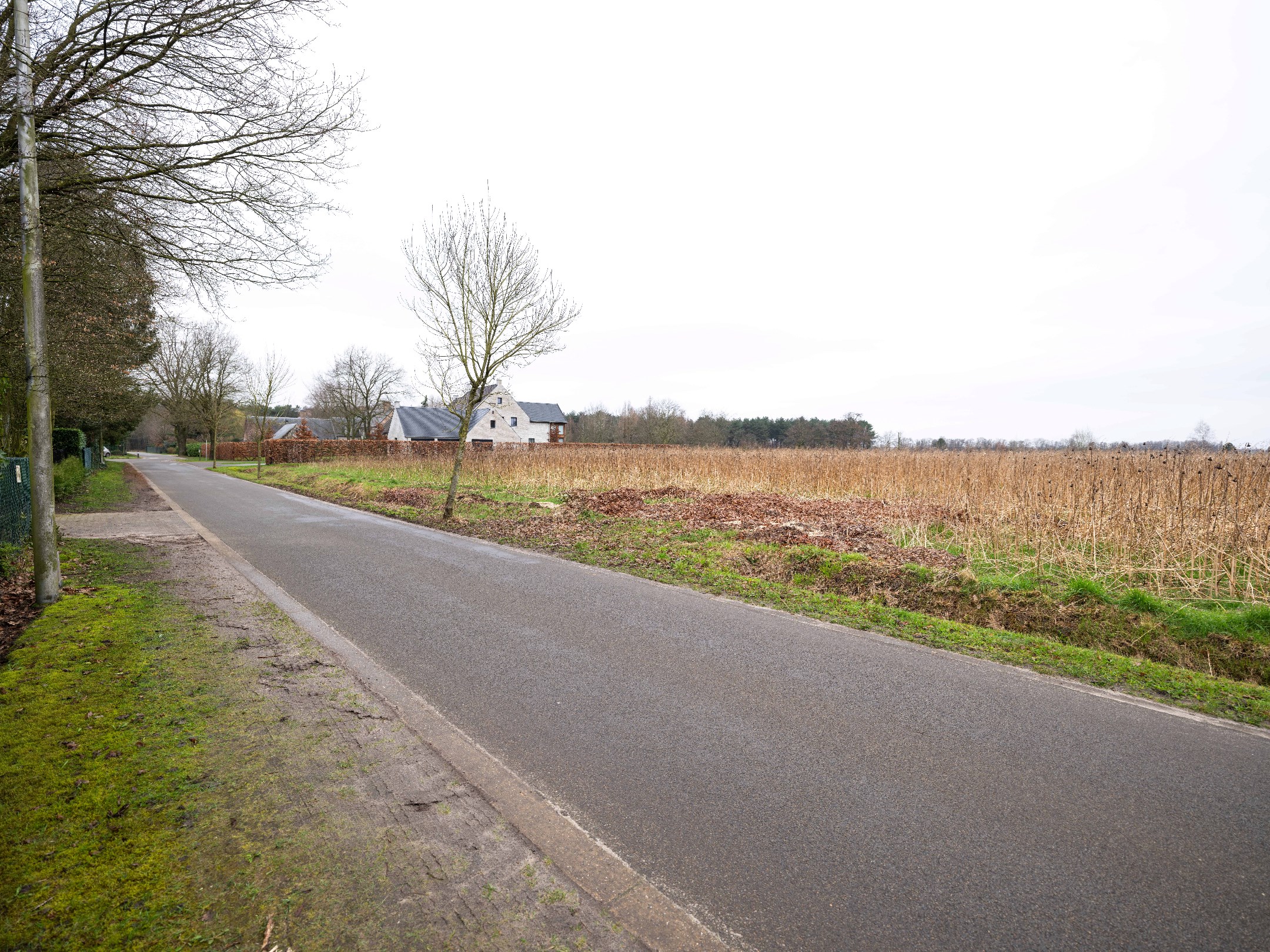 Bouwperceel met achterliggend agrarisch gebied te Pelt - foto 5