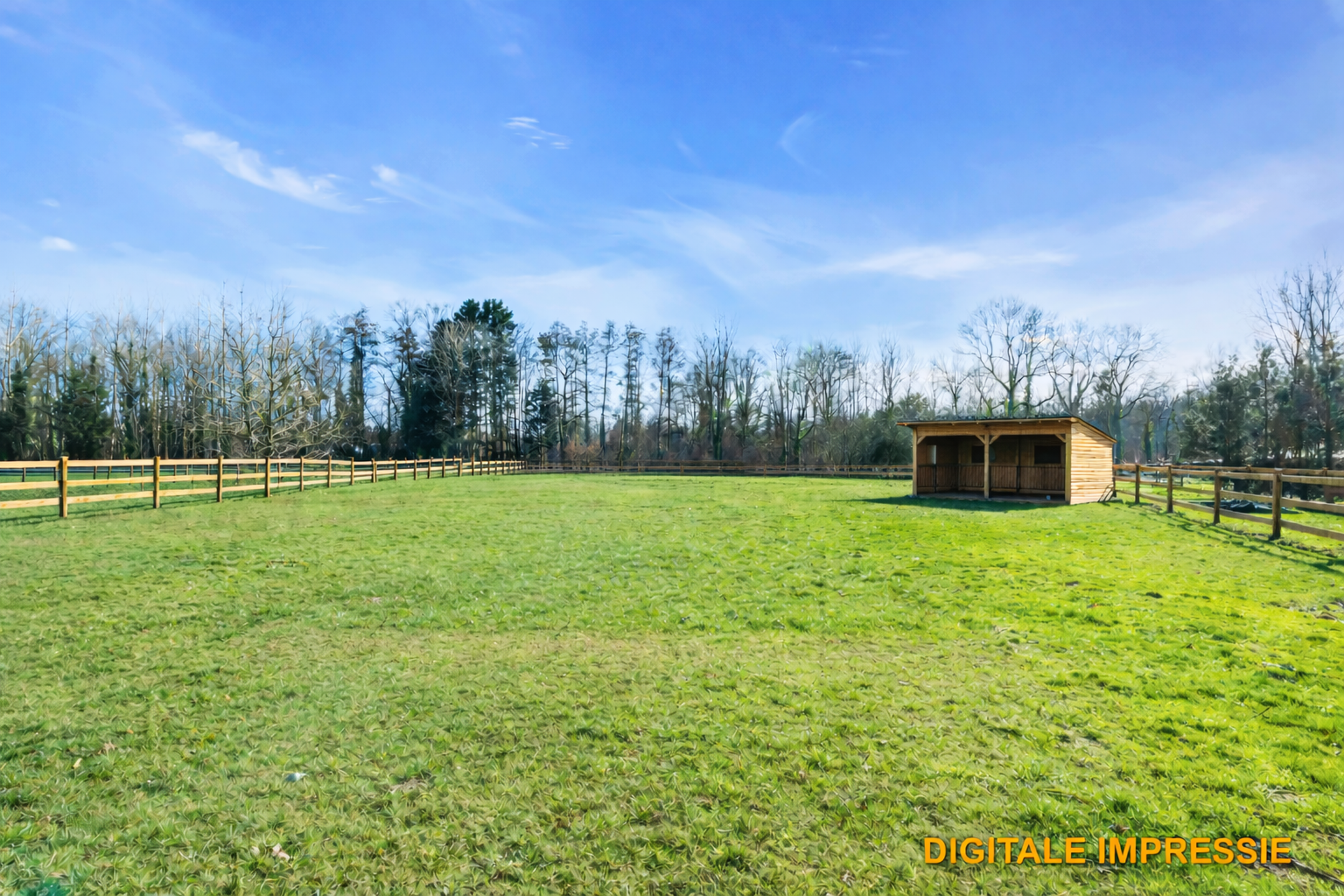 NIEUWRODE - Te renoveren woning op 25a50 - foto 5