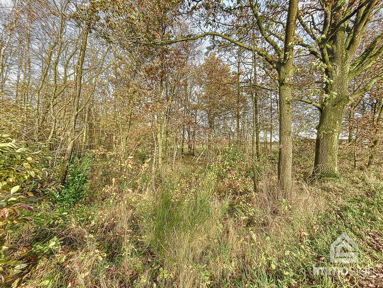 Bosgrond van maar liefst 3HA12A groot - foto 5