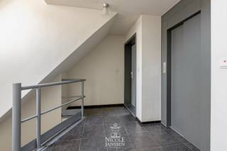 Dit zeer ruime appartement met maar liefst 176m² bruikbare woonoppervlakte werd recent helemaal opgefrist. Men kan volledig leven op de eerste...