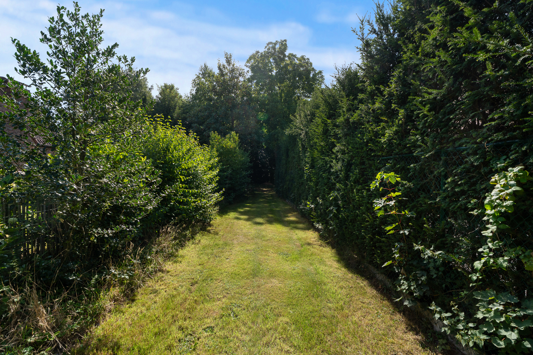 Unieke bouwgrond in 2de bouwlijn op topligging - foto 4