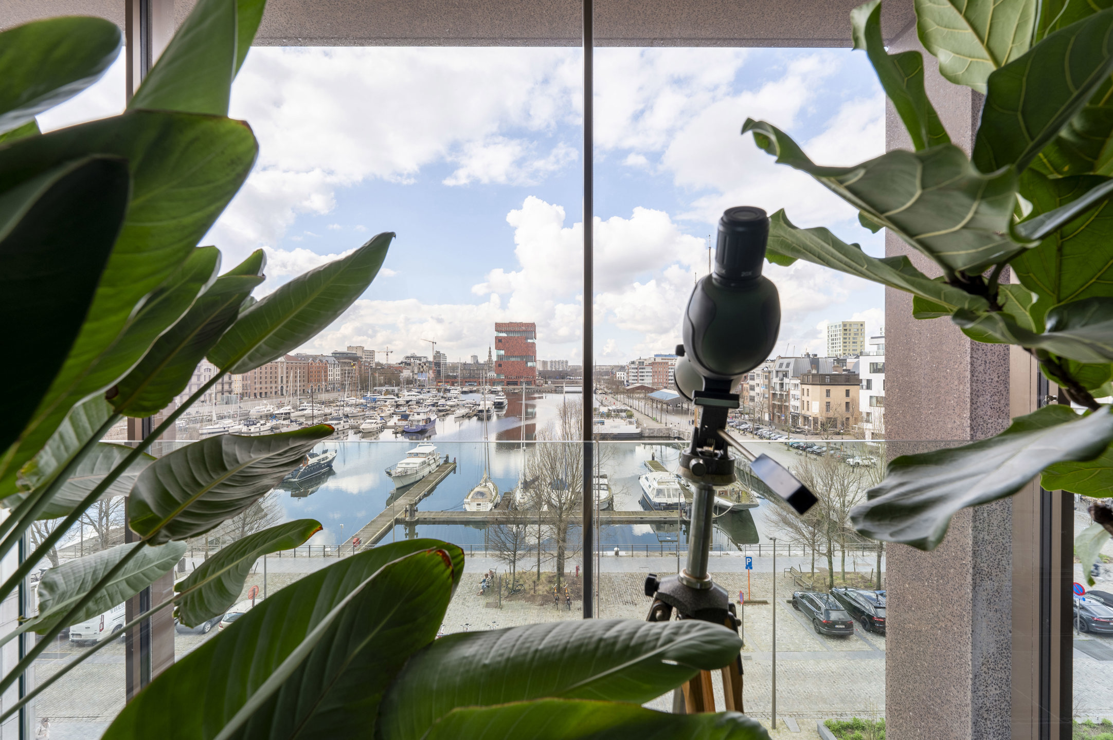 Appartement à vendre à Anvers avec 3 chambres - photo 2