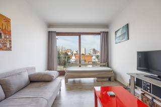 Residentie WANAKA : op de 3de verdieping met open zicht, gemeubelde studio, bestaande uit : een inkomhal met vestiairekast, woonkamer met...