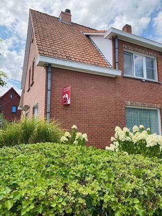 <p>Deze sfeervolle hoekwoning met 3 slaapkamers en bureau is gelegen in het pittoreske Otegem. De woning is ideaal gelegen voor wie op zoek is naar rust maar toch dichtbij alle handelszaken en het centrum wil wonen! De ruimte rond de woning geeft een gevoel van privacy en vrijheid, wat deze plek bijzonder aantrekkelijk maakt. U kunt de woning nog volledig naar eigen smaak en wensen inrichten. Met de juiste visie kan deze hoekwoning worden getransformeerd tot een echt pareltje! Mis deze unieke kans niet om deze woning in Otegem te kopen en er uw droomhuis van te maken. De indeling van de woning is als volgt: aparte inkom met gastentoilet (handwasser), living, ingerichte keuken (inductie kookplaat, dampkap, oven, microgolf, frigo en vaatwasser (alle toestellen Miele), wasruimte, veranda en kelder. Op de verdieping bevinden zich 3 slaapkamers, een bureau en een badkamer (inloopdouche, toilet en lavabo). Zolder (bereikbaar via een spooktrap). Overal dubbele beglazing.</p>