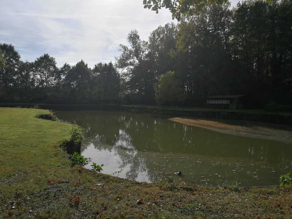 Grond te koop in Veerle - foto 3